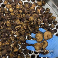 Crocps de cogumelos shiitake de qualidade